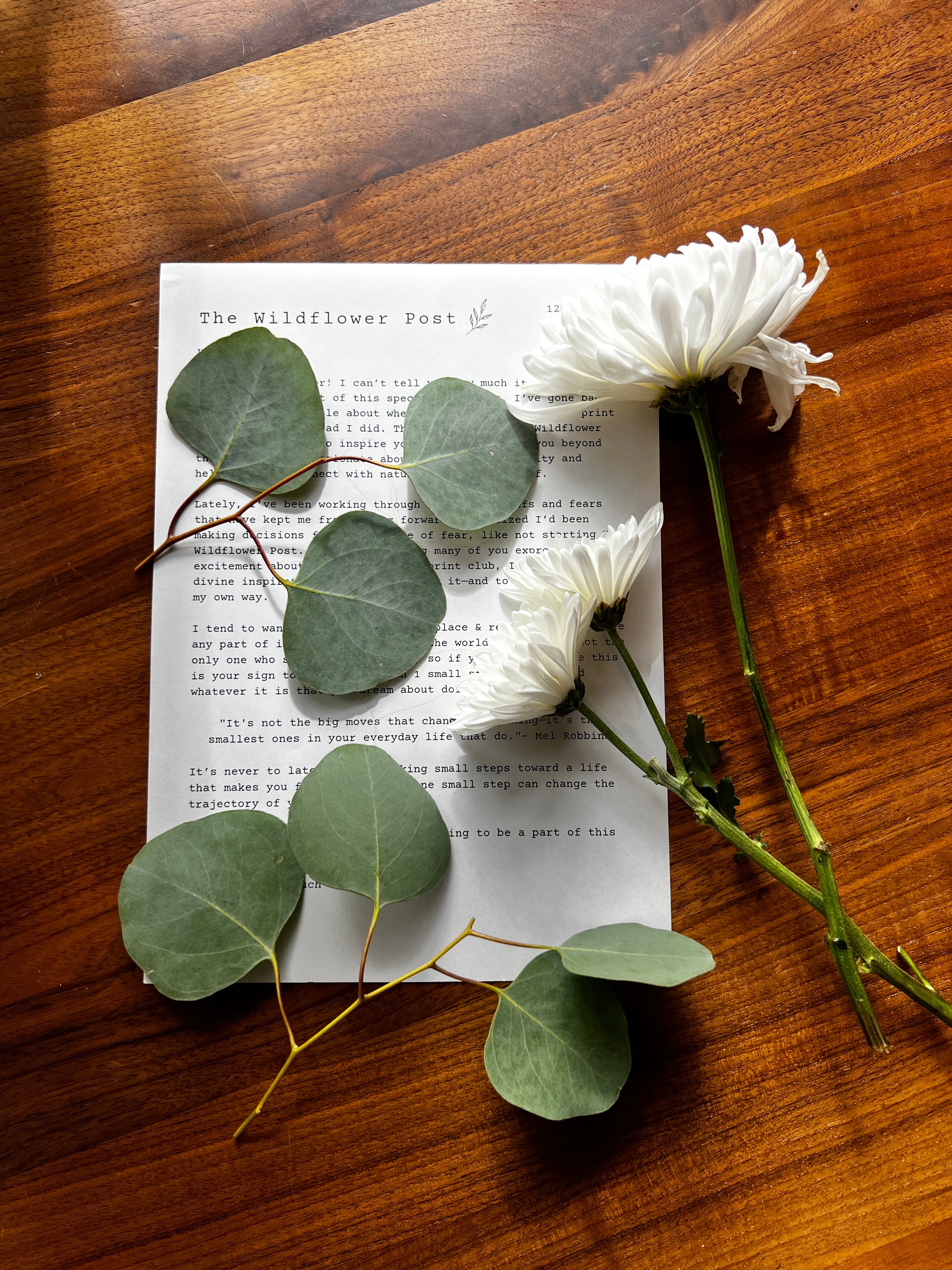 Letter for snail mail club on desk partially covered by leaves and flowers.