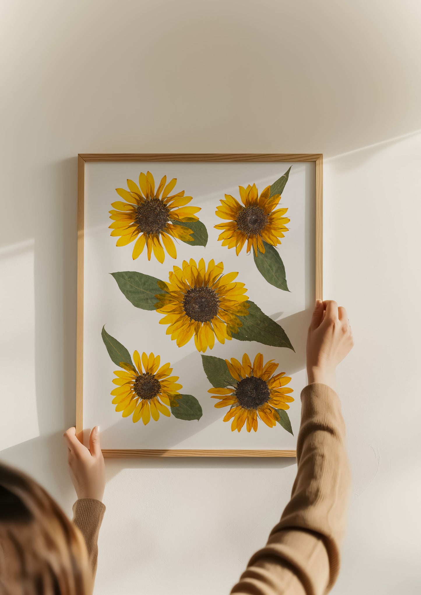 Person hanging a framed picture of pressed yellow sunflowers on a wall