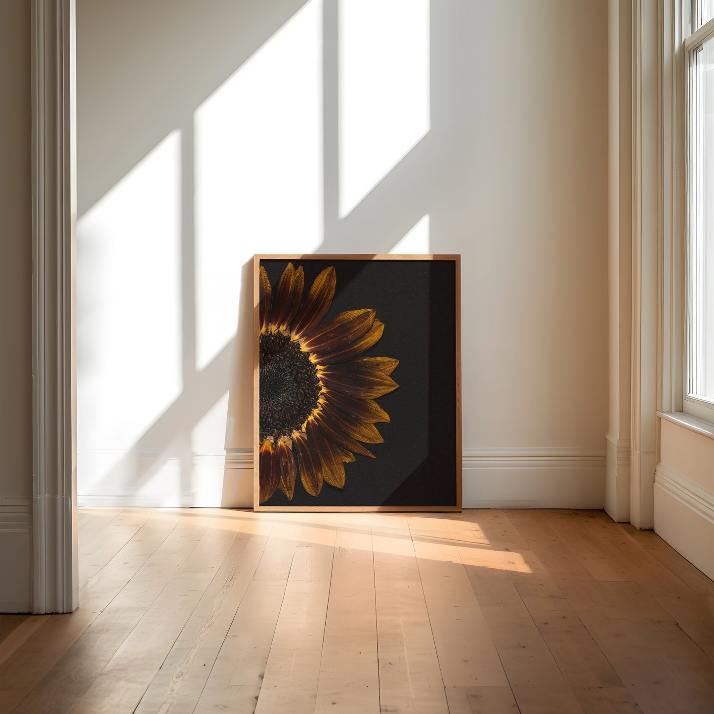 Framed pressed sunflower art print on a wall in a bright room with sunlight streaming through windows.