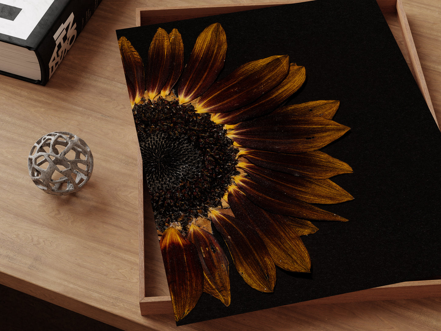 Pressed sunflower fine art print on a desk.