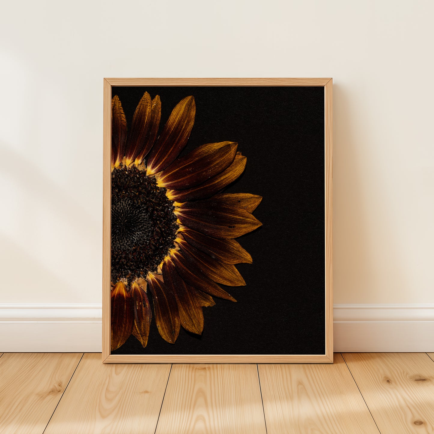 Framed pressed flower art print of a pressed sunflower on a wooden floor with a white wall background