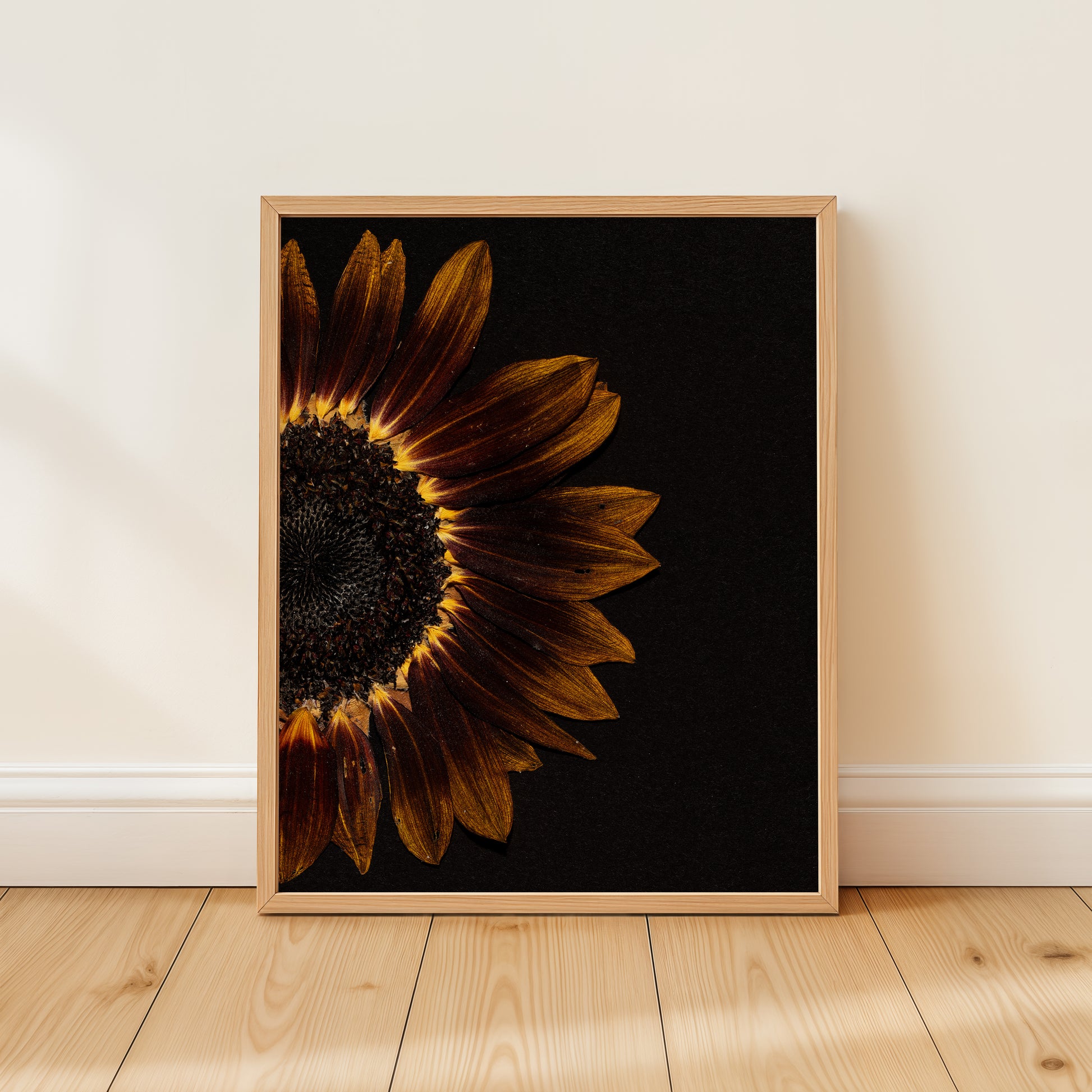 Framed pressed flower art print of a pressed sunflower on a wooden floor with a white wall background