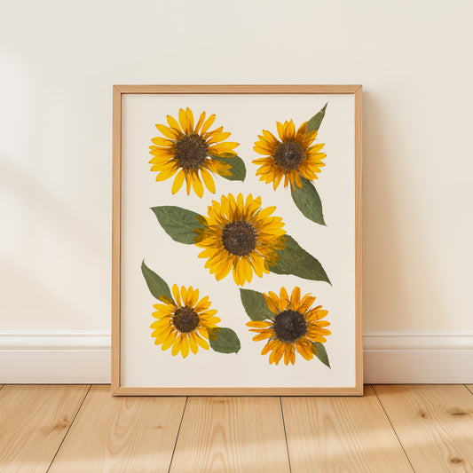 Framed artwork of pressed sunflowers on a white background