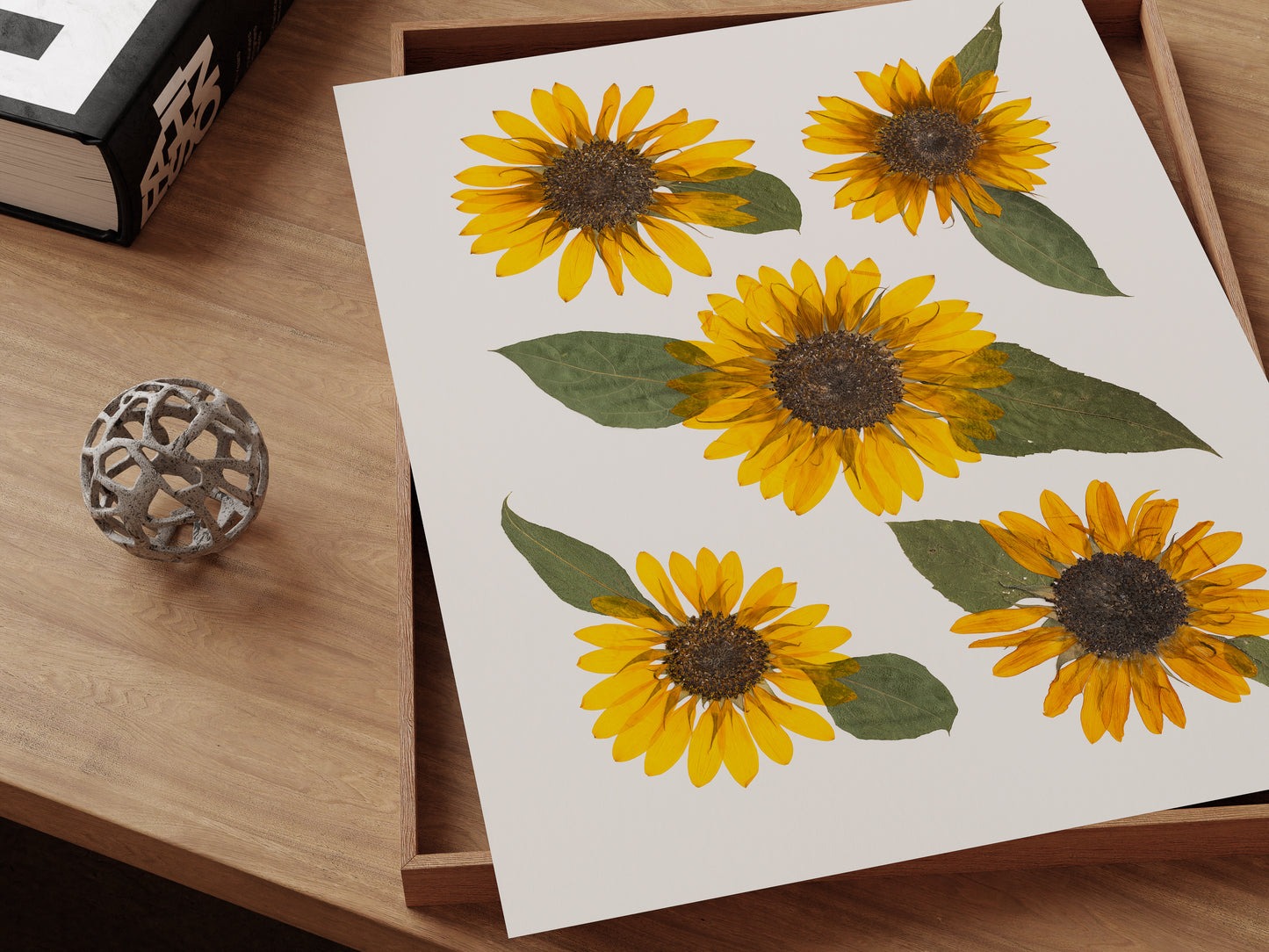 Fine art print of pressed yellow sunflowers.