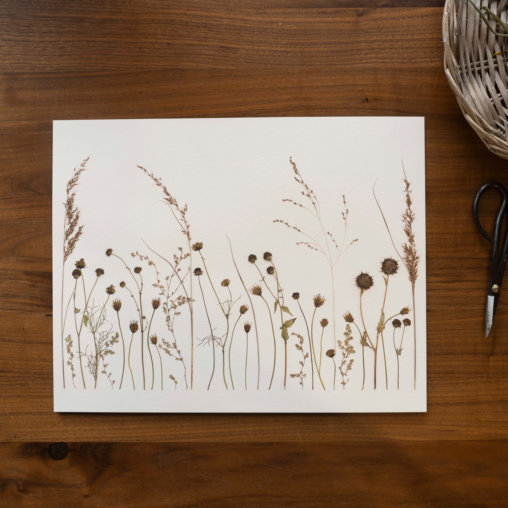 Pressed tall grass and flowers fine art print on desk.