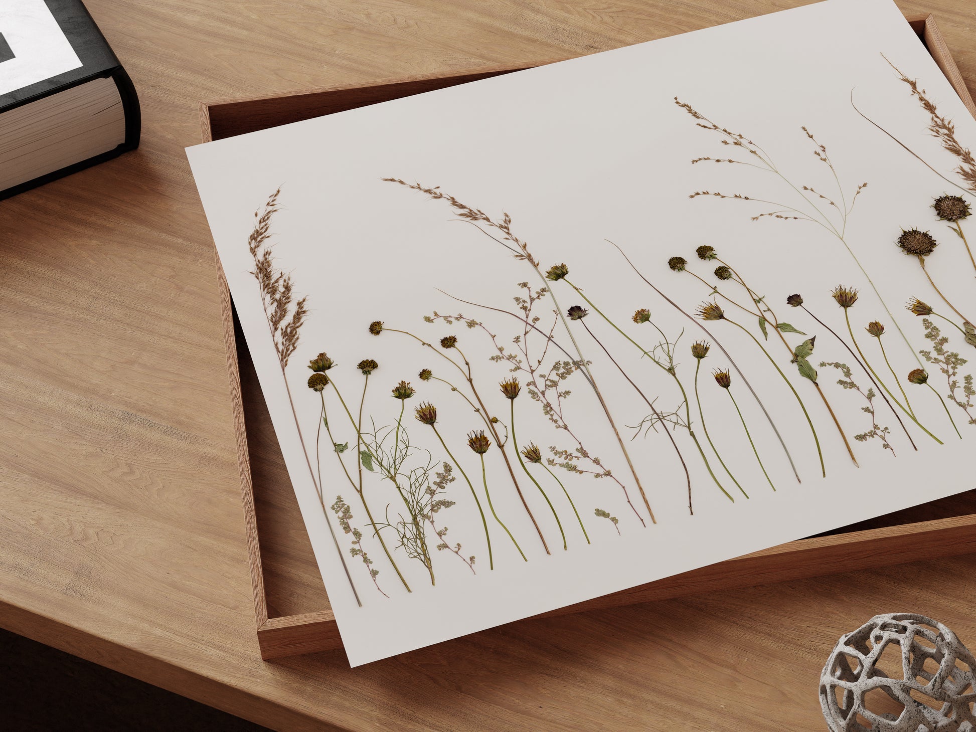 Pressed flower and tall grass fine art print.