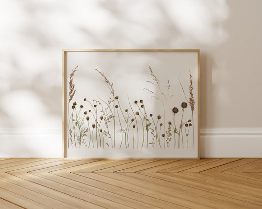 Framed artwork of pressed tall grass and flower stems design.