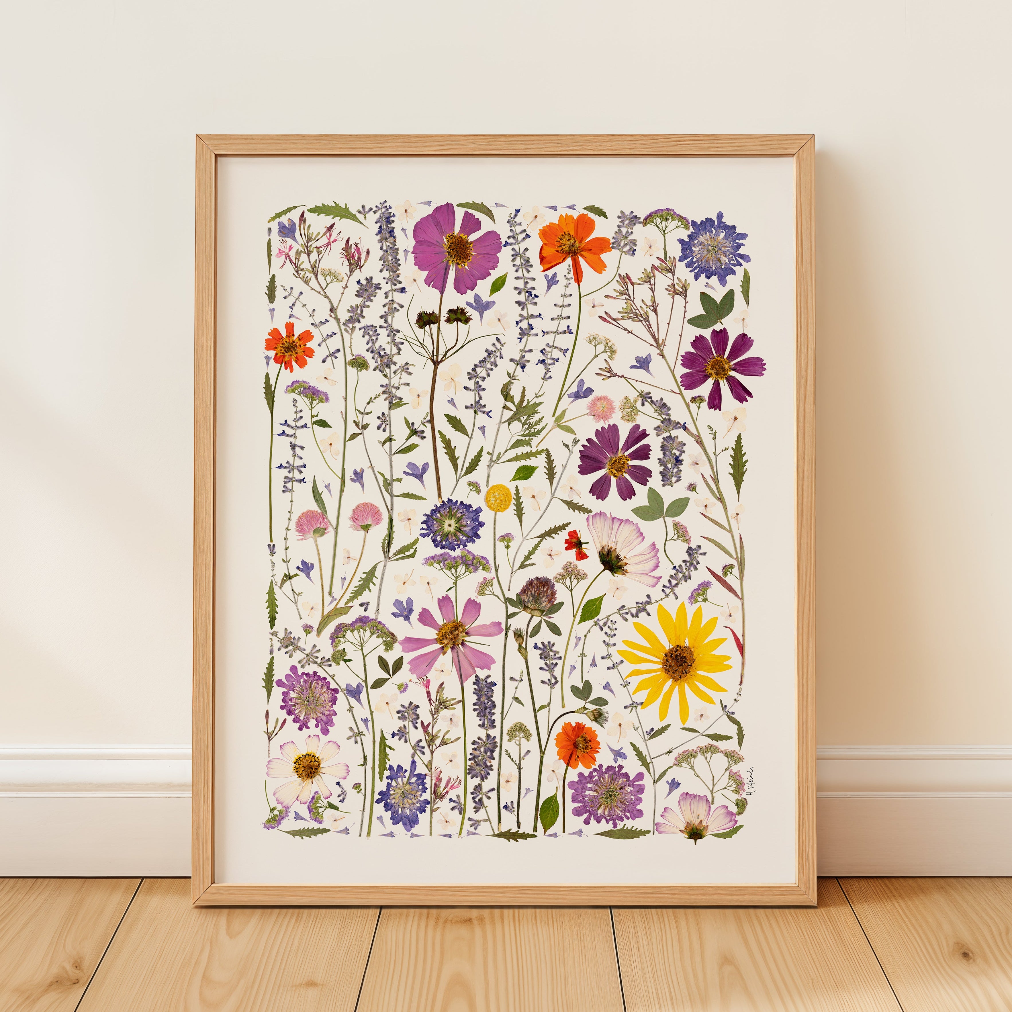 Framed artwork of colorful pressed floral design on a white wall.