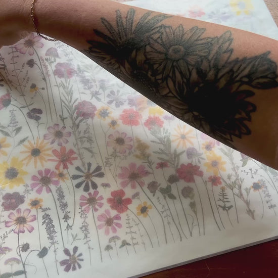 video close up Wildflower Whimsy collage fine art print of pressed wildflowers 