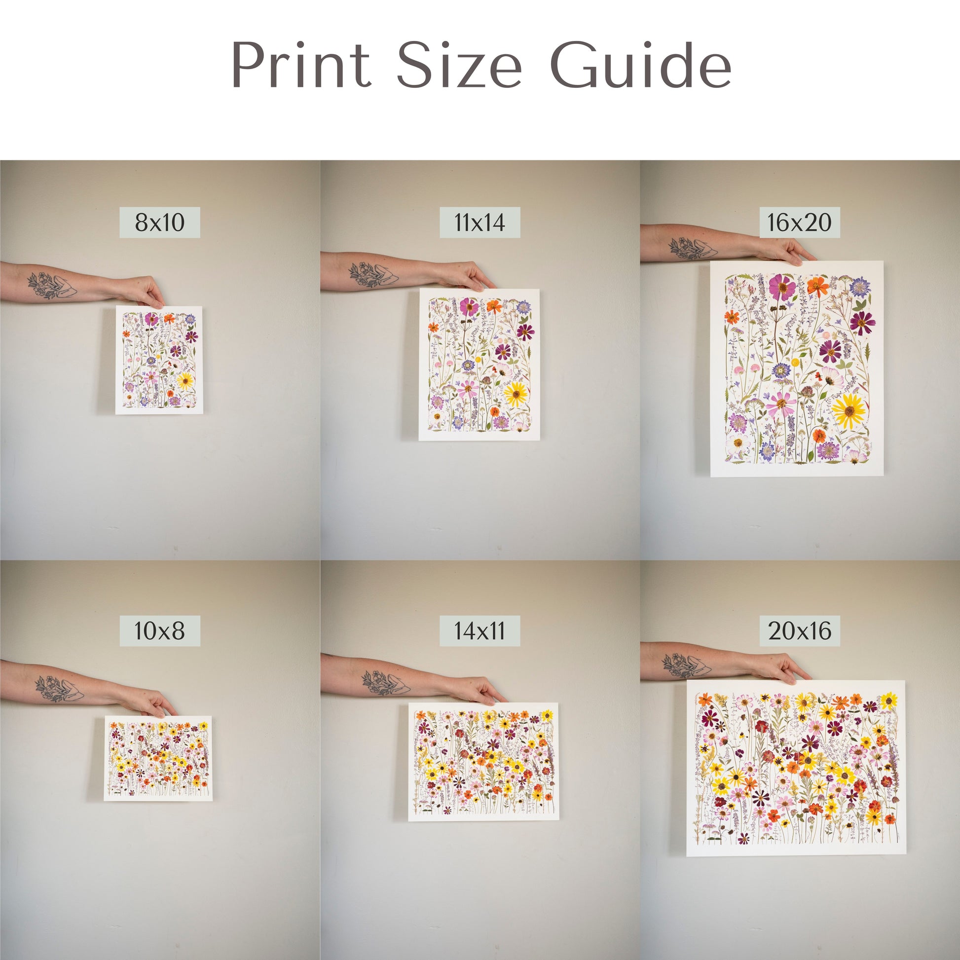 Picture showing different size prints 8x10, 11x14, 16x20, 10x8, 14x11, and 20x16